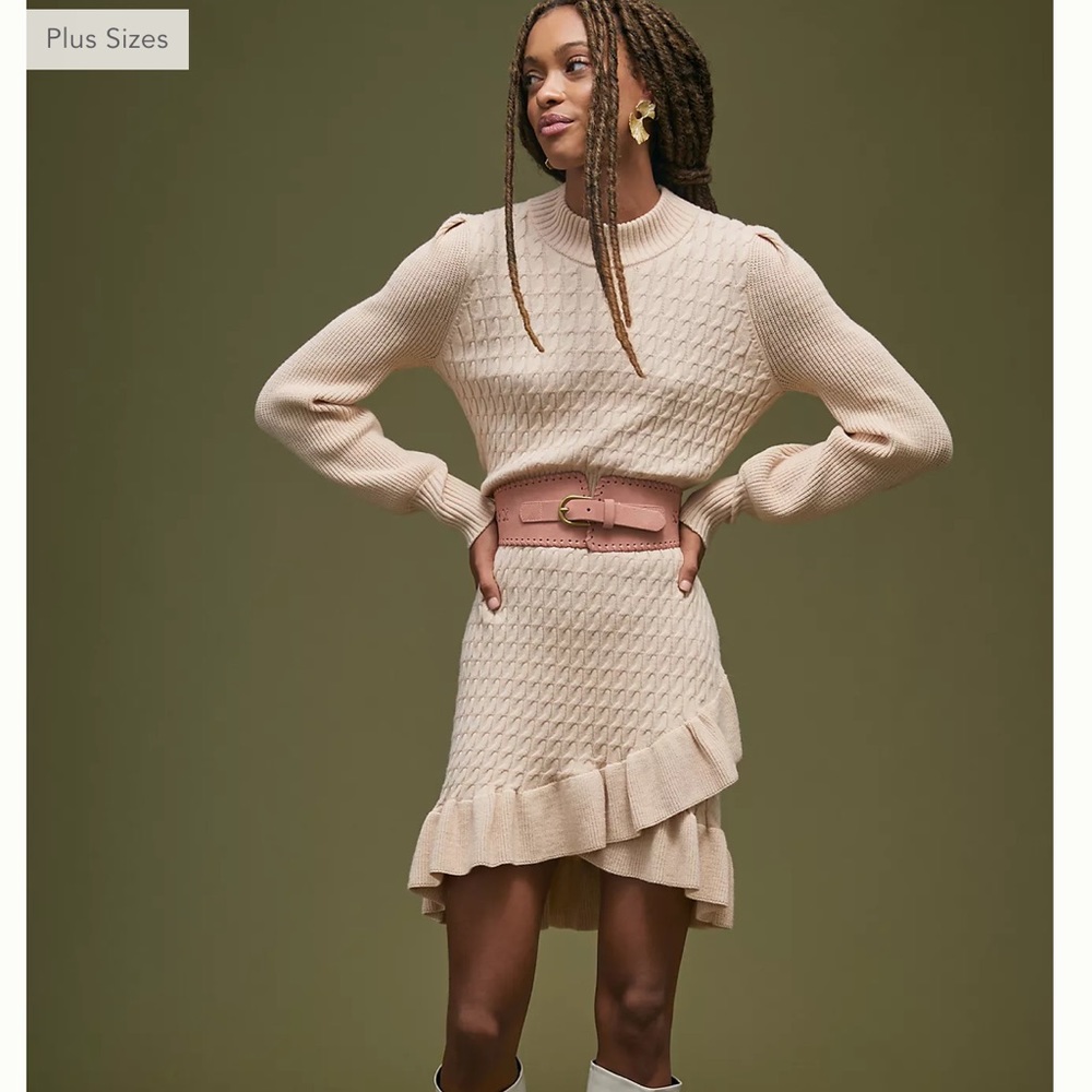 NWT sweater dress